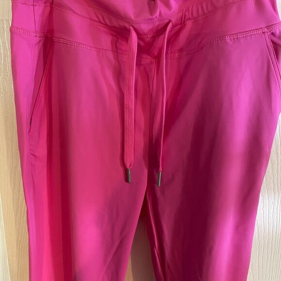 NWOT Halara Softlyzero™ Plush Joggers Women's Large-Tall - Picture 3 of 13